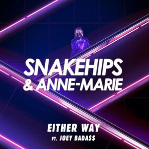 poster for Either Way (feat. Joey Bada$$) - Snakehips & Anne-Marie  