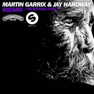 poster for Wizard (Tchami Remix) - Martin Garrix, Jay Hardway