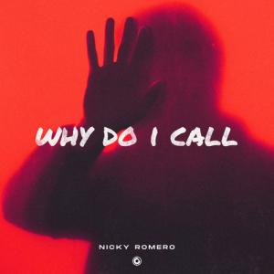 poster for Why Do I Call - Nicky Romero