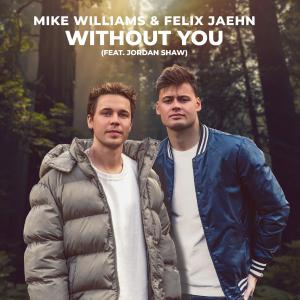 poster for Without You (feat. Jordan Shaw) - Mike Williams & Felix Jaehn