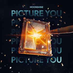 poster for Picture You - Moonshine