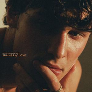 poster for Summer Of Love - Shawn Mendes, Tainy