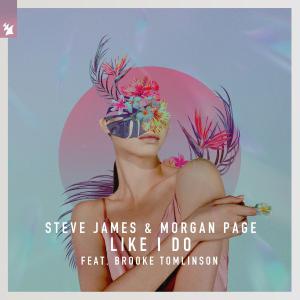 poster for Like I Do (feat. Brooke Tomlinson) - Steve James & Morgan Page