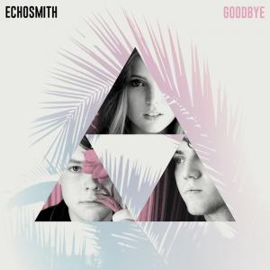 poster for Goodbye - Echosmith