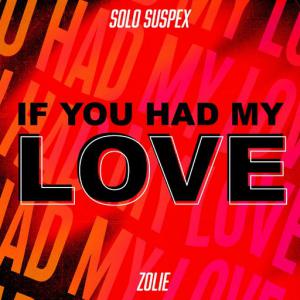 poster for If You Had My Love (feat. Zolie) - Solo Suspex