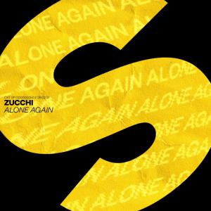 poster for Alone Again - Zucchi