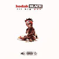 poster for Vibin In This Bih Ft. Gucci Mane) - Kodak Black