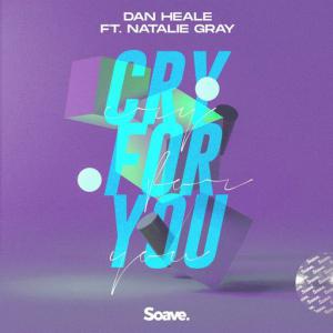 poster for Cry For You (feat. Natalie Gray) - Dan Heale