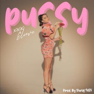 poster for Pussy - Elieve