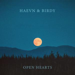 poster for Open Hearts - Haevn, Birdy