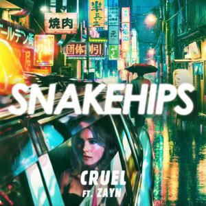 poster for Cruel (feat. ZAYN) - Snakehips