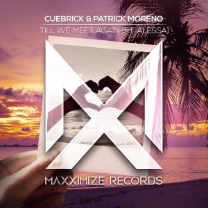 poster for Till We Meet Again (feat. Alessa) - Cuebrick & Patrick Moreno