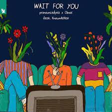 poster for Wait for You (feat. KnownAsNat) - pronouncedyea & Olmos