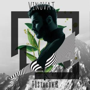 poster for Vinovat - Tostogan’S