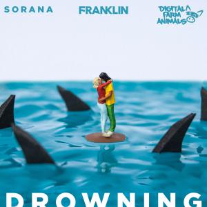 poster for Drowning - Franklin, Digital Farm Animals & Sorana