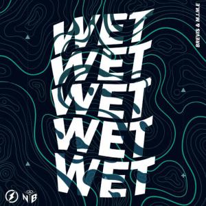 poster for WET - Brevis, M.I.M.E