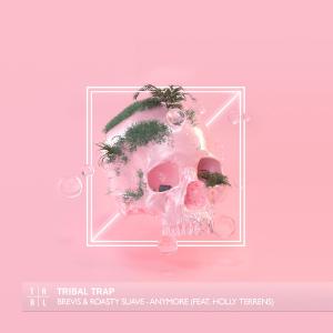 poster for Anymore (feat. Holly Terrens) - Brevis & Roasty Suave