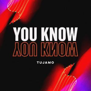 poster for You Know - Tujamo