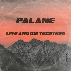 poster for Live and Die Together - Palane