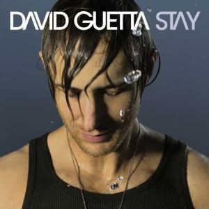 poster for Stay (Radio Edit) - David Guetta