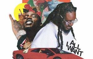 poster for All I Want (feat. Flipp Dinero) - T-Pain