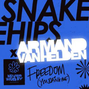 poster for Freedom (You Bring Me) - Snakehips, Armand van Helden