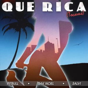 poster for Que Rica (Tocame) - Pitbull, Sak Noel & Salvi
