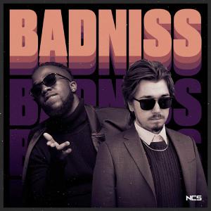poster for Badniss - Jonth & Vindon