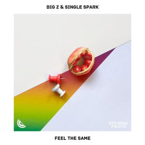 poster for Feel the Same - Big Z & Single Spark