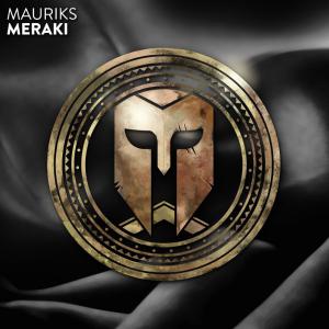 poster for Meraki - MAURIKS
