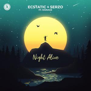 poster for Night Alive - Ecstatic, Serzo, rainage