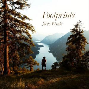 poster for Footprints - Jacco Wynia