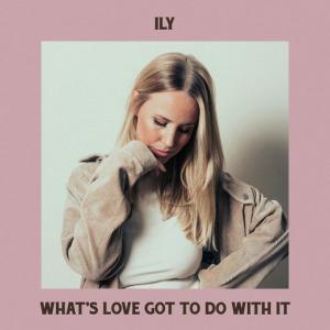 poster for What’s Love Got to Do with It - Ily