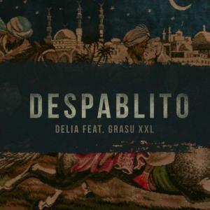 poster for Despablito (feat. Grasu XXL) - Delia
